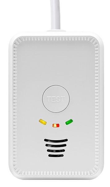 Carbest Gass(LPG) / Kullos(CO) alarm 12Volt - 2 i 1
